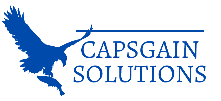 Digital Marketing Intern at Capsgain Solutions