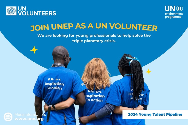 UNEP UNV Young Talent Pipeline Program 2024