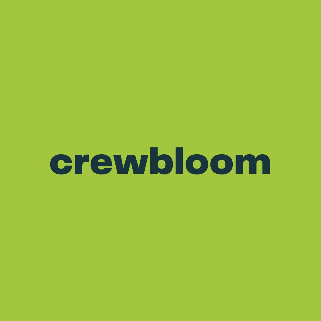 Remote Customer Success Specialist at CrewBloom