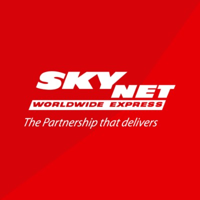 Digital Marketing Executive Needed at Skynet Worldwide Express