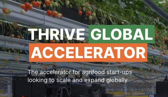 THRIVE Global Impact Challenge 2024 for innovative agriculture startups