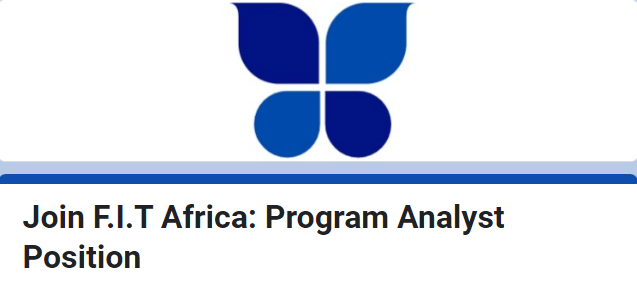 Join the F.I.T Africa Analyst Training Program Now